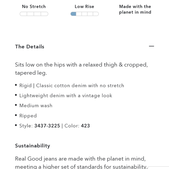 American Eagle, US size 4, Tomgirl - Picture 8 of 9